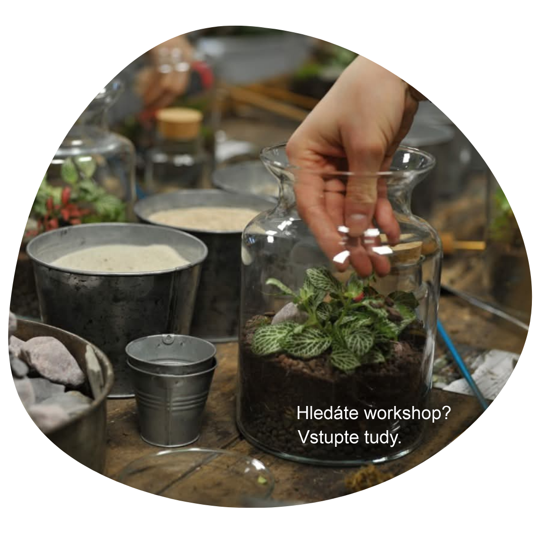 web workshop milujeme mech